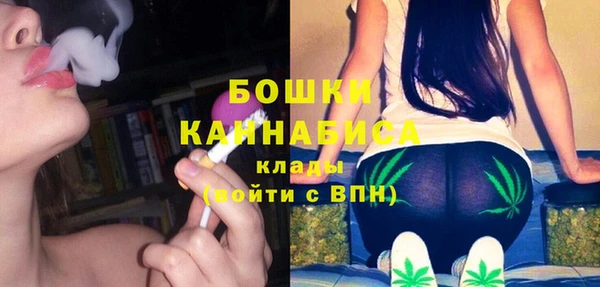 меф Арсеньев