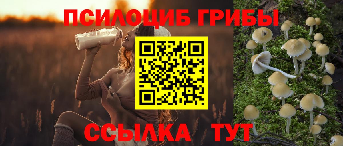 Галлюциногенные грибы Psilocybine cubensis Белебей